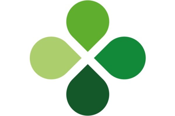 Kraken site